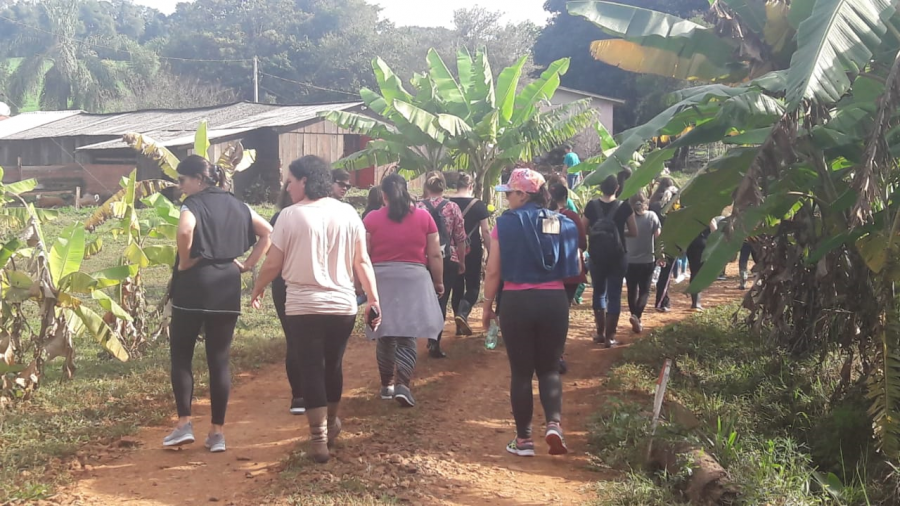 educadores-veranenses-participam-de-pratica-pedagogica-junto-a-natureza