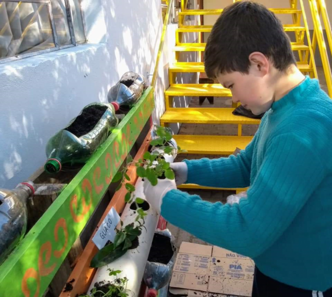 horta-suspensa-de-ervas-medicinais