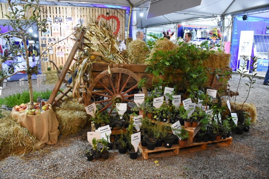 visite-o-estande-do-projeto-plantando-saude
