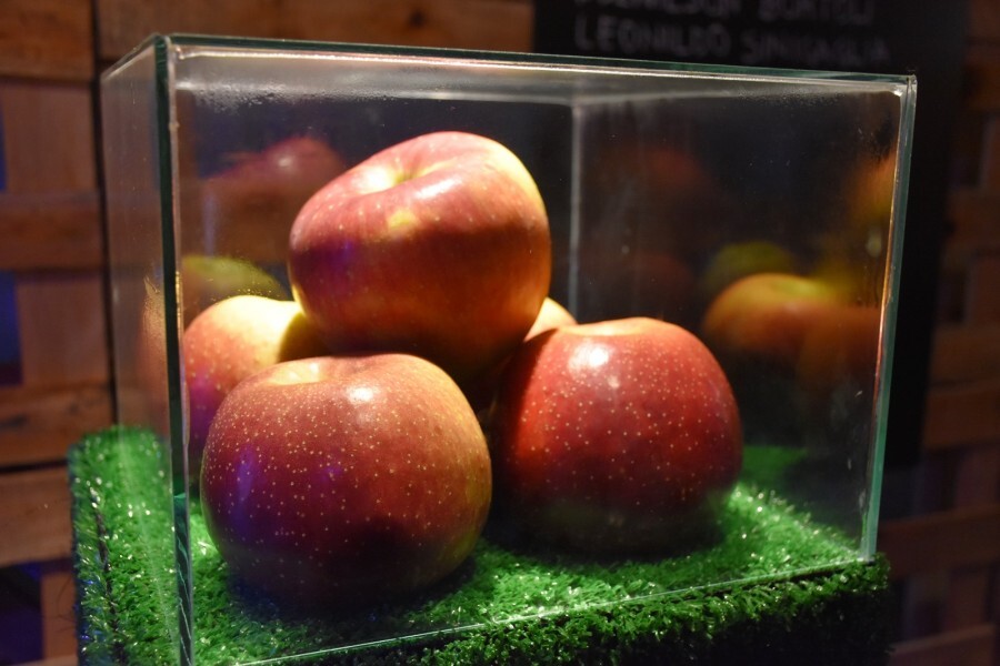 as-atracoes-da-x-femaca-continuam