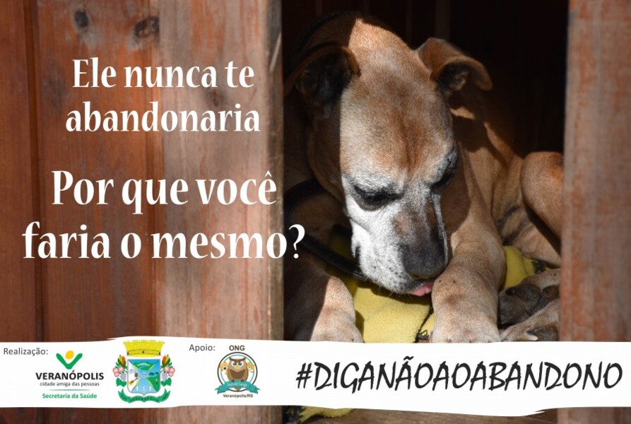 diga-nao-ao-abandono