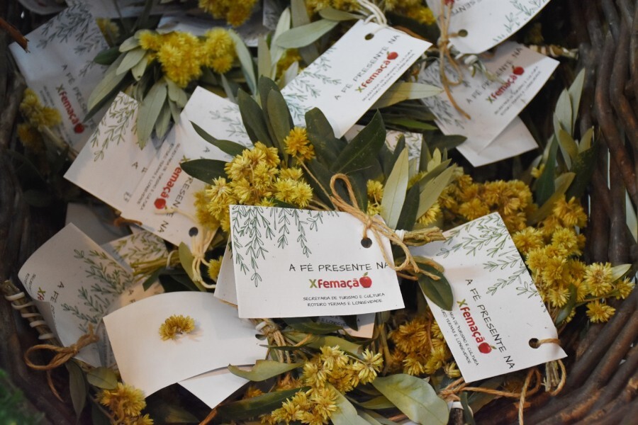 atrativos-de-veranopolis-encantam-turistas