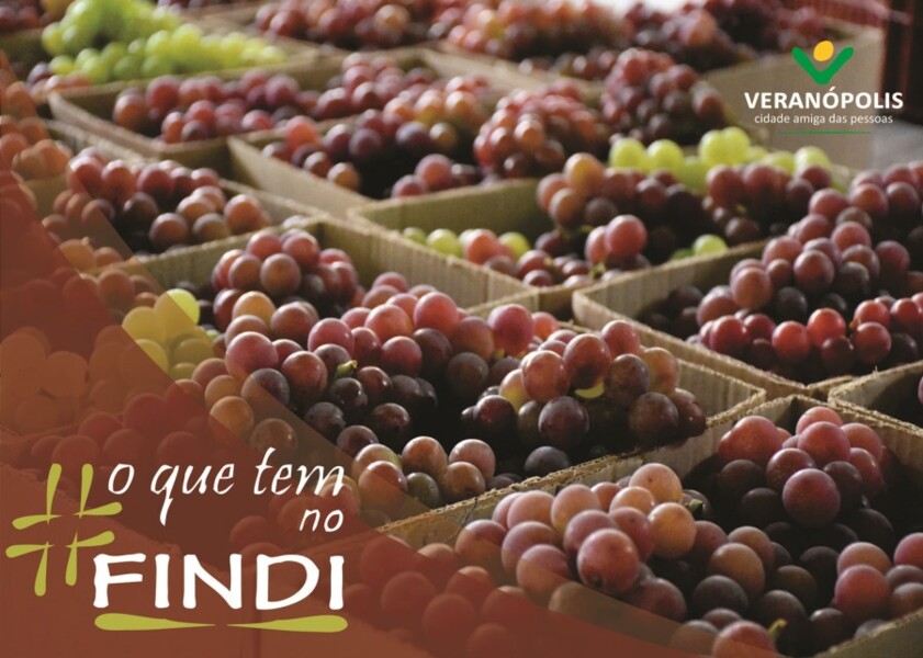 o-que-tem-em-veranopolis-no-findi