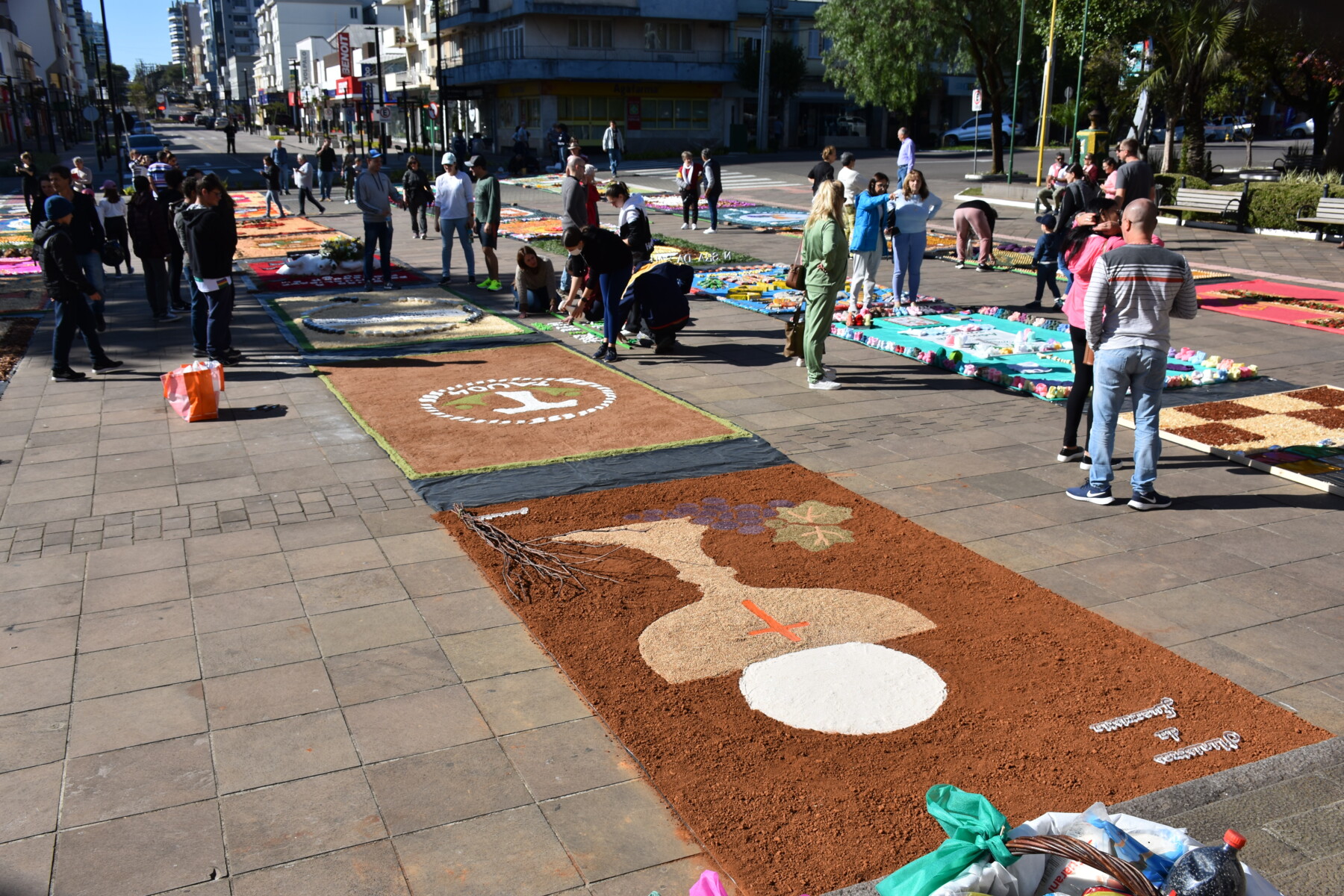 DSC_0765.JPG