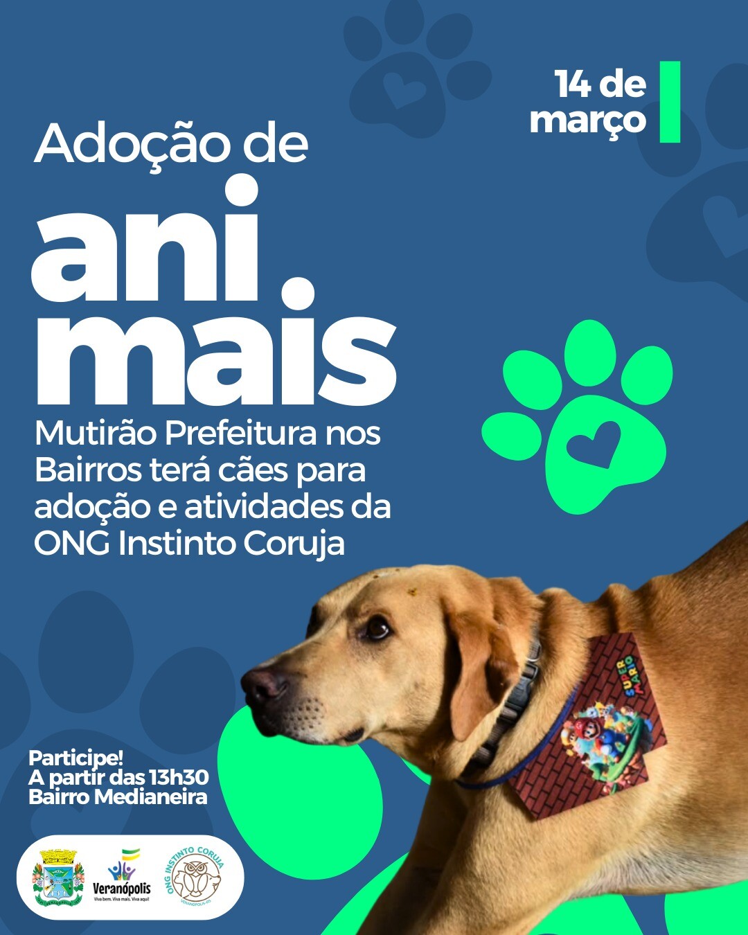 mutirao-prefeitura-nos-bairros-tera-caes-para-adocao-e-atividades-de-ong