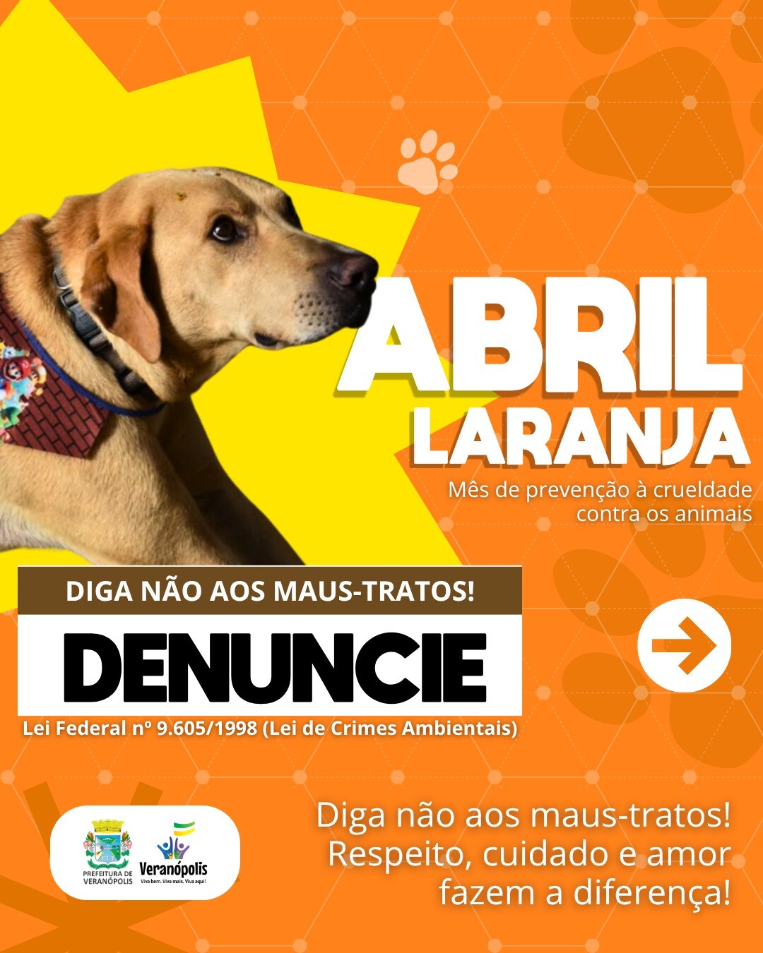 abril-laranja-mes-de-conscientizacao-contra-os-maus-tratos-aos-animais