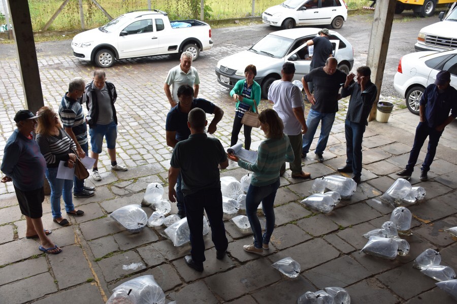 entrega-de-alevinos-2-lote-2019