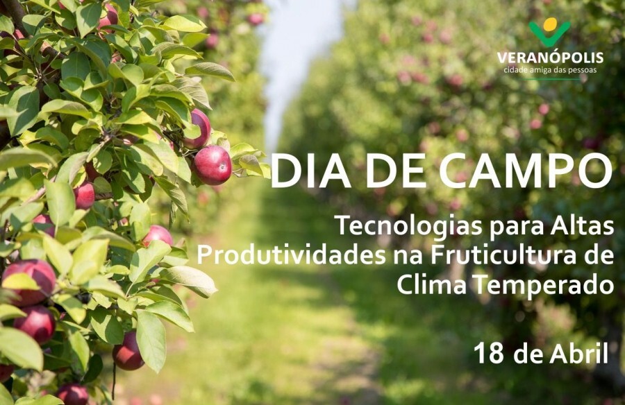 dia-de-campo-na-x-femaca