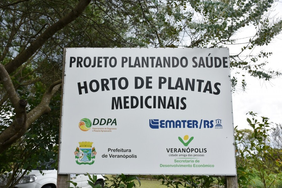 projeto-plantando-saude-retorna-as-atividades